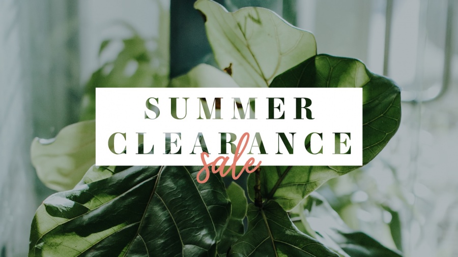 Mainstream Boutique of White Bear Lake Summer Clearance Sale